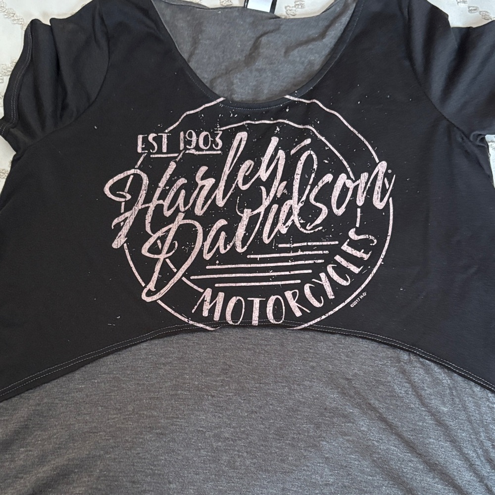 Harley-Davidson Women's Black and Gray Tee